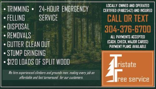 Tri State Tree Service