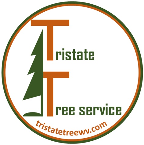TriState-Tree-Service