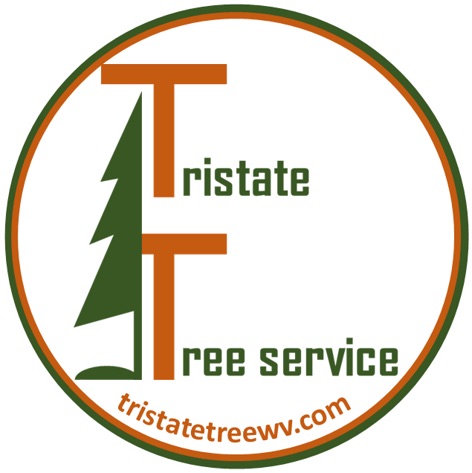 TriState-Tree-Service